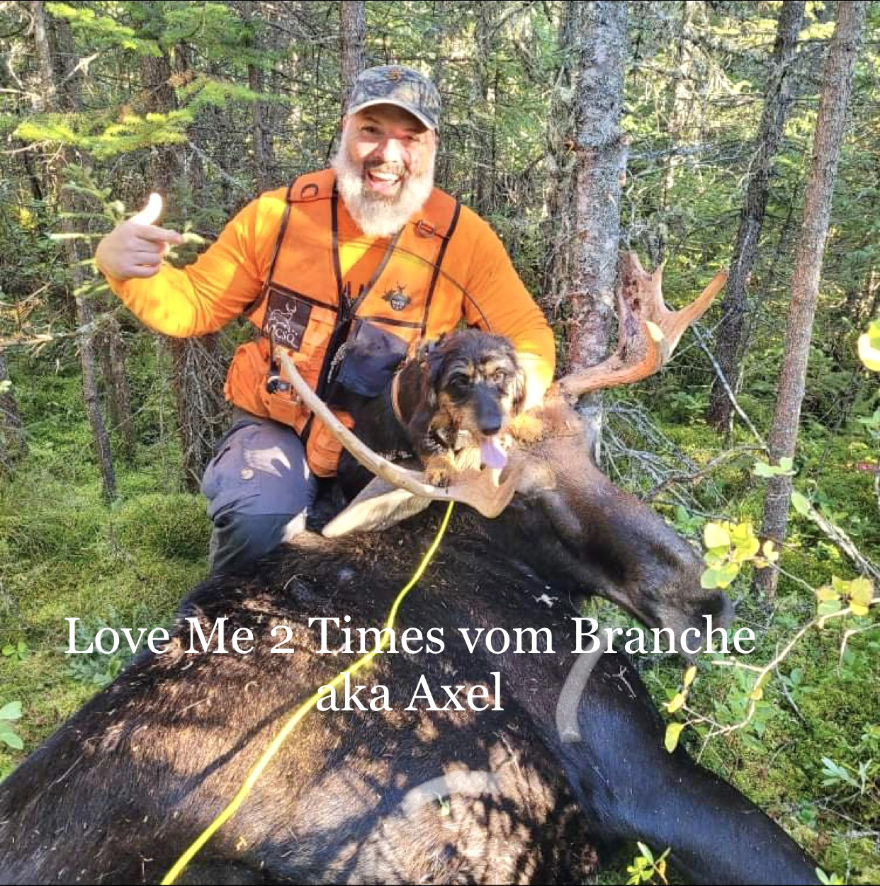 Orignal retrouvé parche de sang