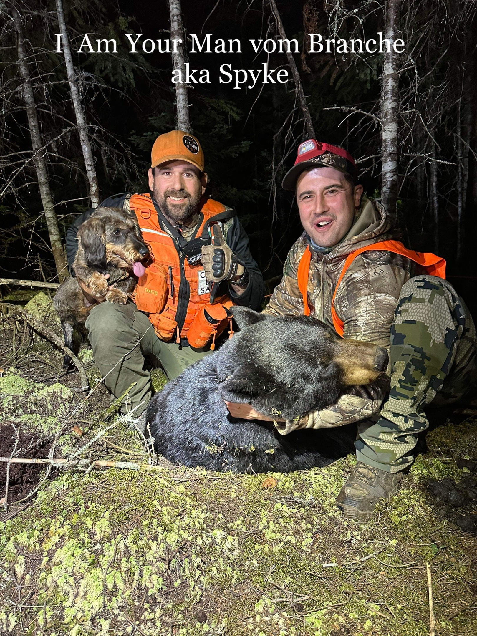 Bear recovery by tracking dog